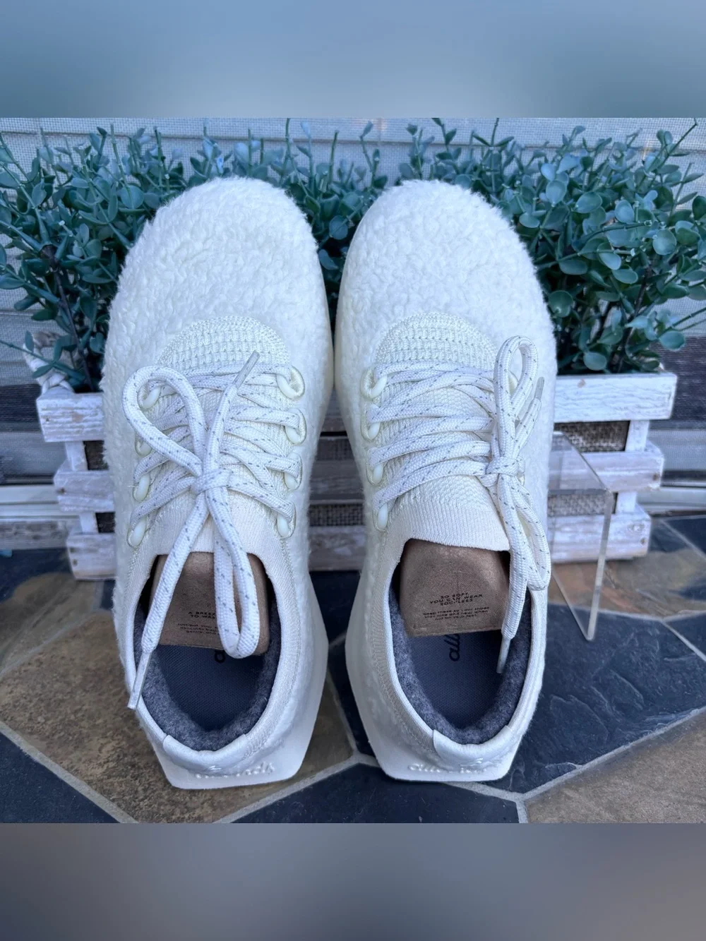Allbirds Wool Dasher Fluff Sneakers